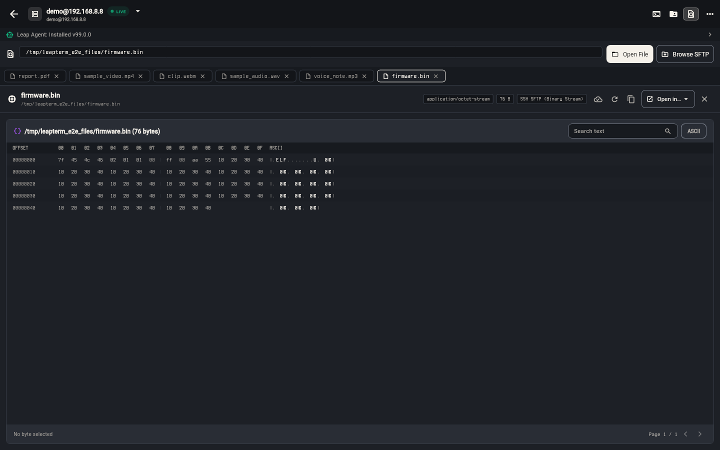 File Viewer inspecting a binary file in Hex View
