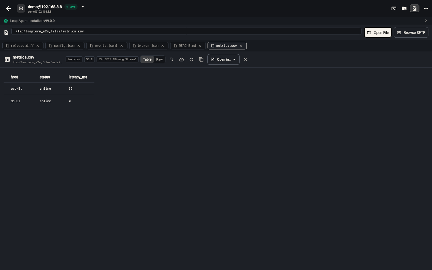File Viewer displaying a CSV file as a clean table