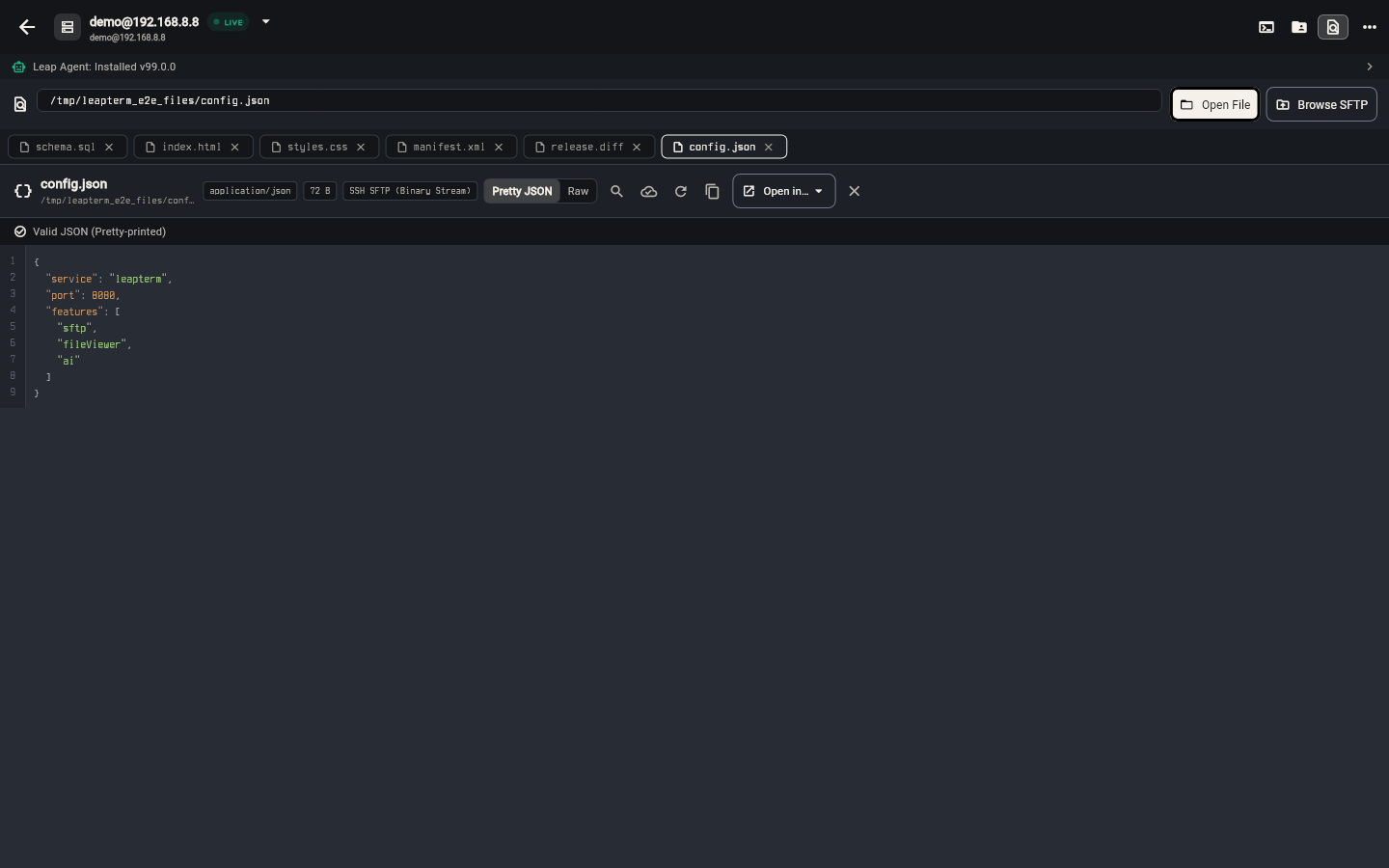 File Viewer displaying formatted Pretty JSON with one-click toggle to Raw text