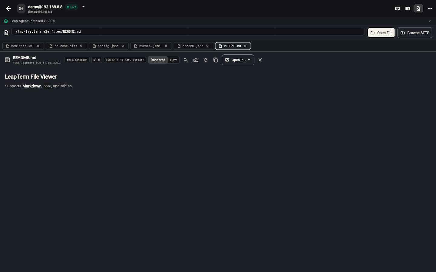 File Viewer rendering a Markdown README document inside the workspace