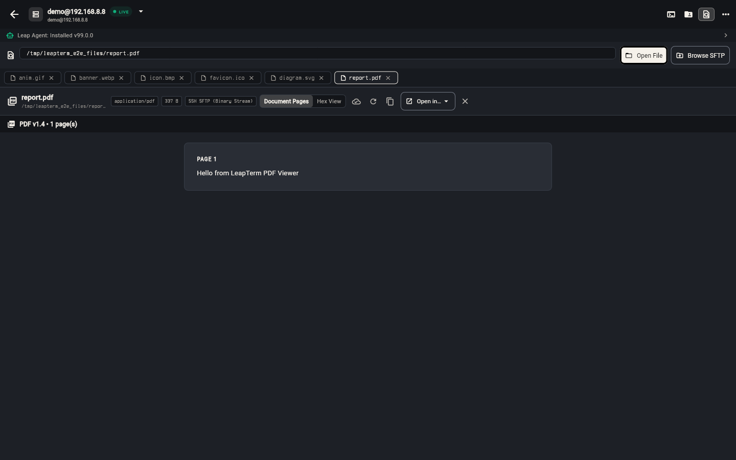 File Viewer rendering PDF document pages directly in the workspace