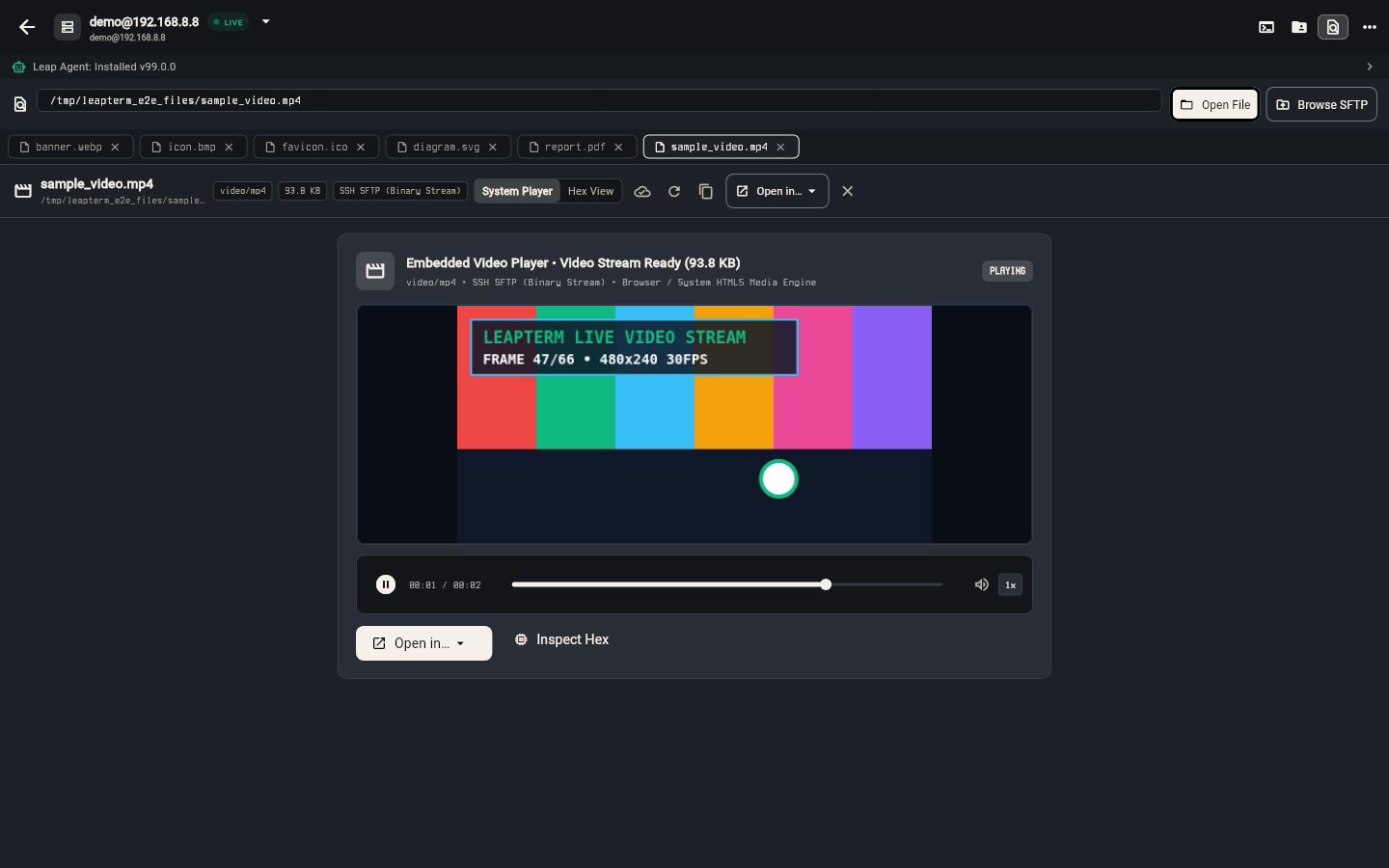 File Viewer streaming an MP4 video file over SFTP