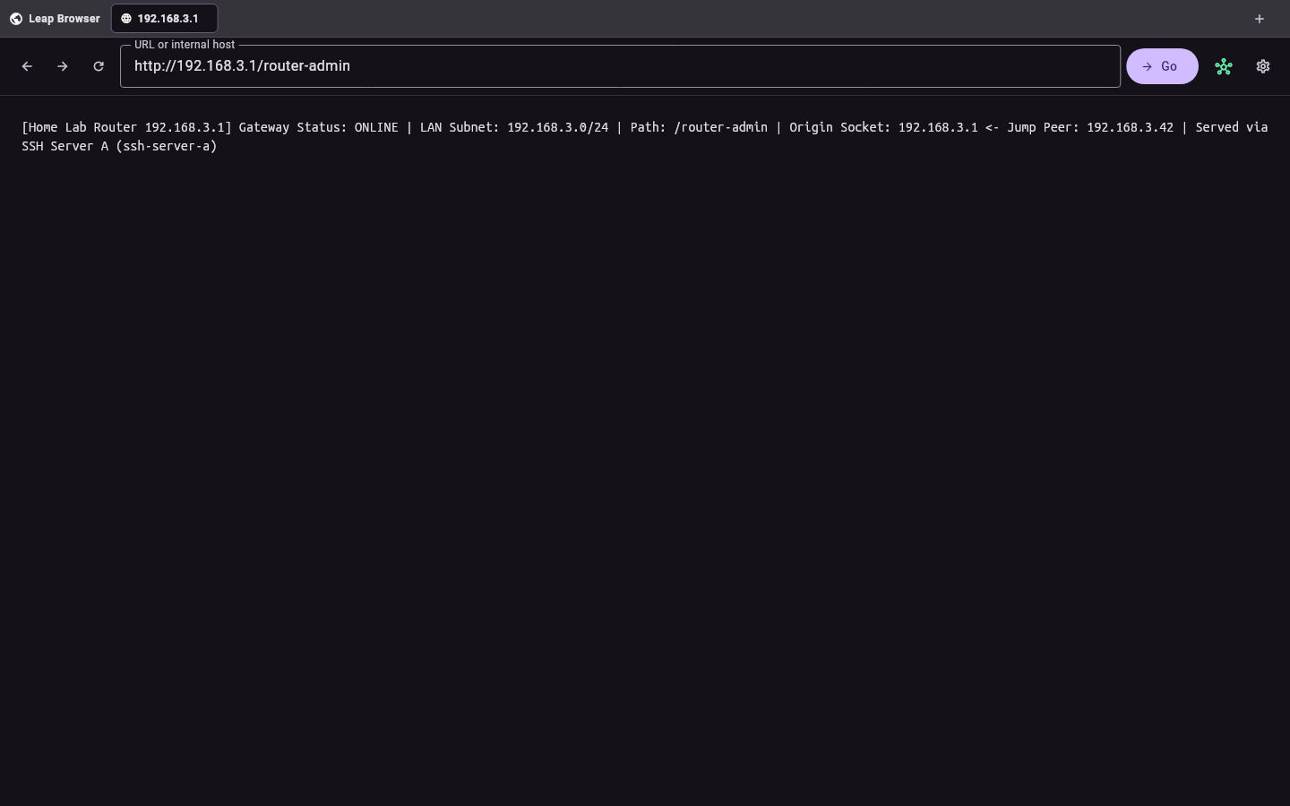 Leap Browser reaching a private home-lab router dashboard through Server A