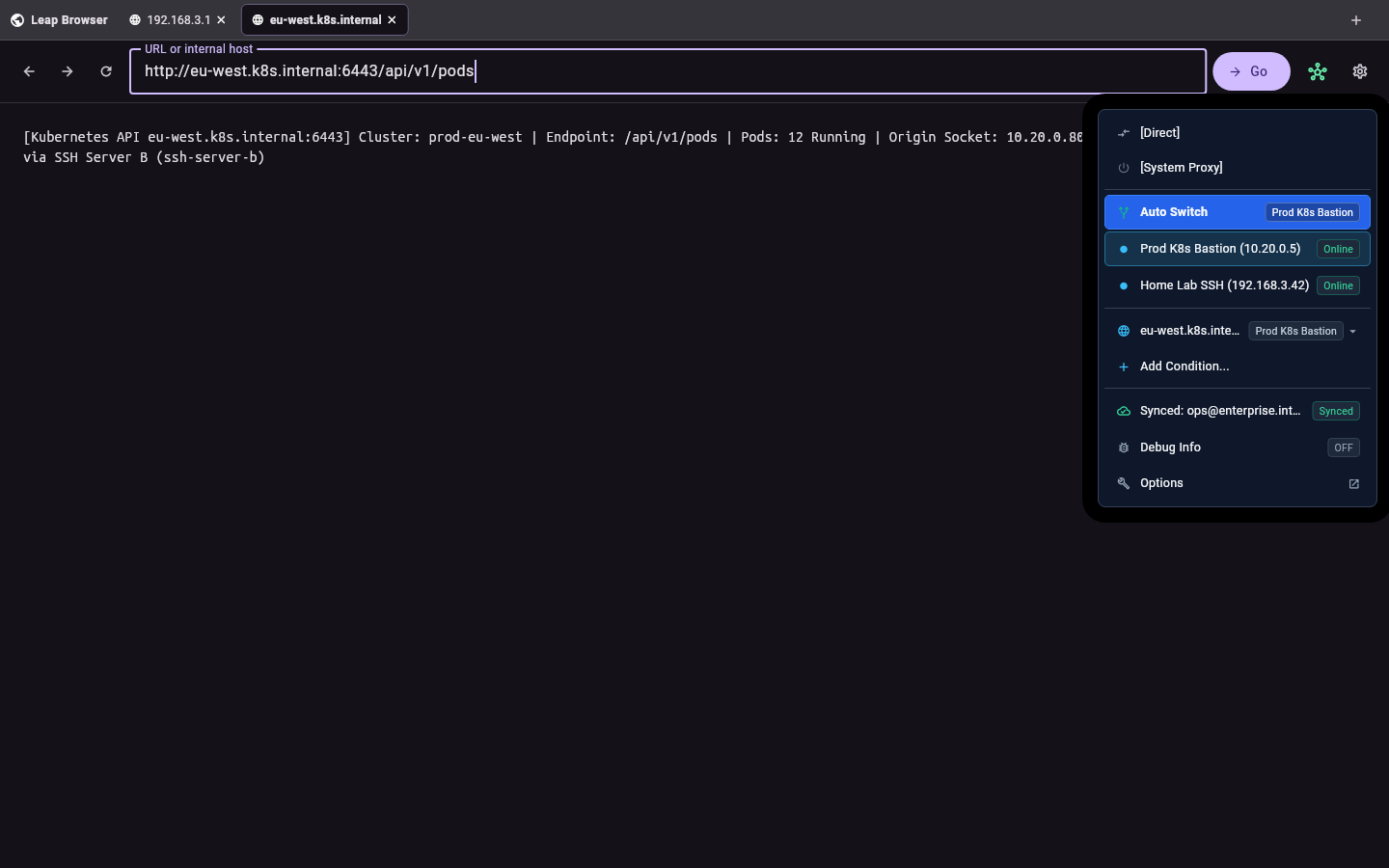 Leap Browser reaching a private Kubernetes endpoint through Server B